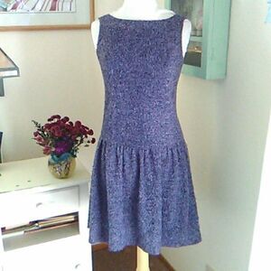 Vintage Anna Sui Purple Dropped Waist Dress